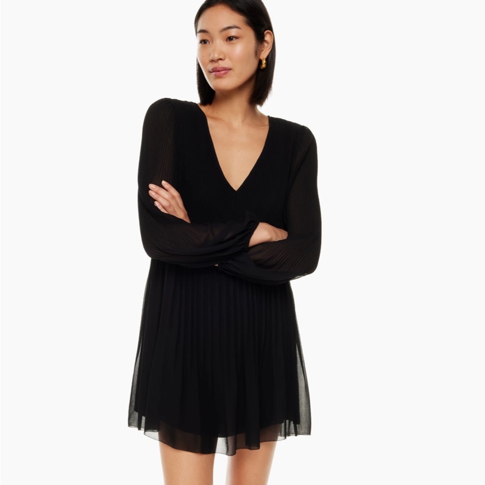 Wilfred Prophecy Dress- new with tags